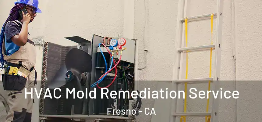  HVAC Mold Remediation Service Fresno - CA