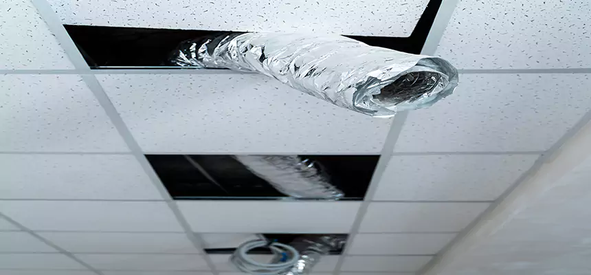 Affordable HVAC Sanitizing After Pest Removal in Fresno