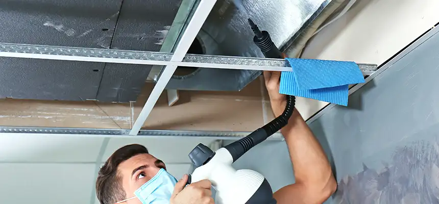 Our Air Duct Rodent Removal Services in Fresno, CA