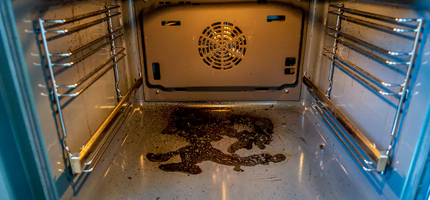 Our Dryer Vent Mold Cleaning Services in Fresno, CA