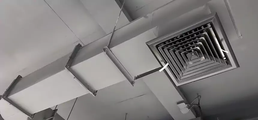 Our Pest Removal From Ducts Services in Fresno, CA