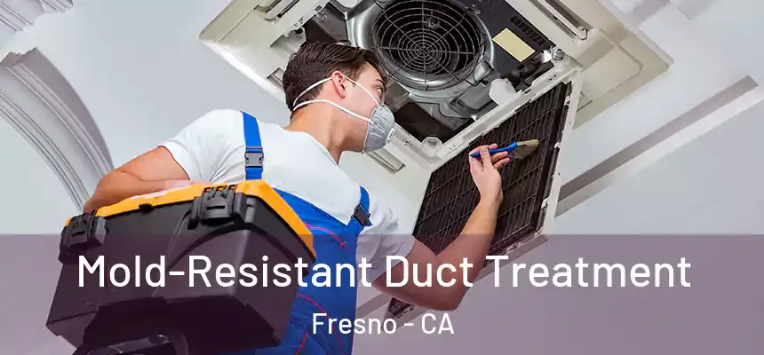 Mold-Resistant Duct Treatment Fresno - CA