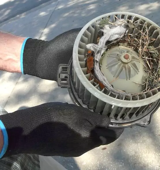 About Air Duct Mice Removal in Fresno, CA