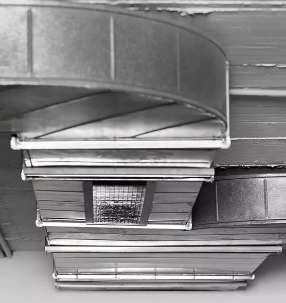 Professional Air Duct Pest Removal in Fresno, CA