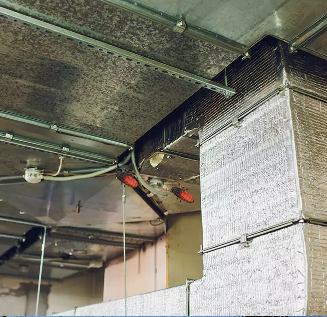 Why Homeowners & Businesses Trust Us in Fresno, CA?