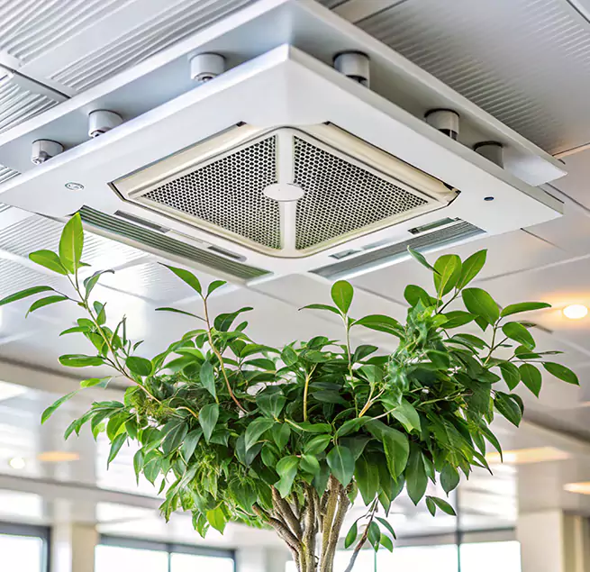 Why Homeowners & Businesses Trust Us in Fresno, CA